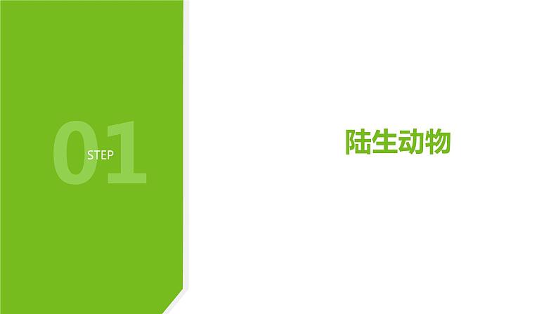 1.1  艳丽多姿的生物（二）—华师大版科学七年级上册课件02