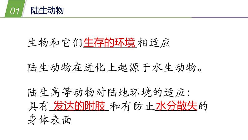1.1  艳丽多姿的生物（二）—华师大版科学七年级上册课件03