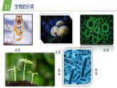 2.1 动物的主要类群1—华东师大版七年级科学上册课件