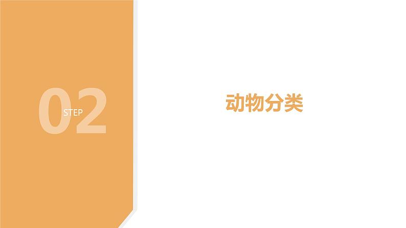 2.1 动物的主要类群1—华东师大版七年级科学上册课件05