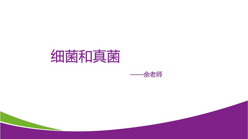 2.3细菌和真菌—华东师大版七年级科学上册课件01