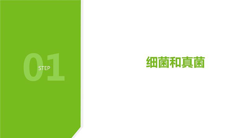 2.3细菌和真菌—华东师大版七年级科学上册课件02