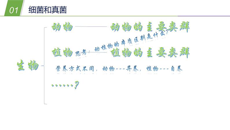 2.3细菌和真菌—华东师大版七年级科学上册课件03
