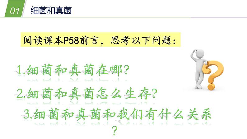 2.3细菌和真菌—华东师大版七年级科学上册课件04