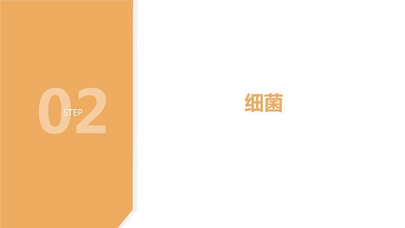 2.3细菌和真菌—华东师大版七年级科学上册课件05