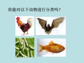 2.4  常见的动物（第1课时）—浙教版七年级科学上册课件(共18张PPT)