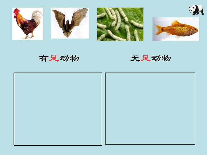 2.4  常见的动物（第1课时）—浙教版七年级科学上册课件(共18张PPT)第8页