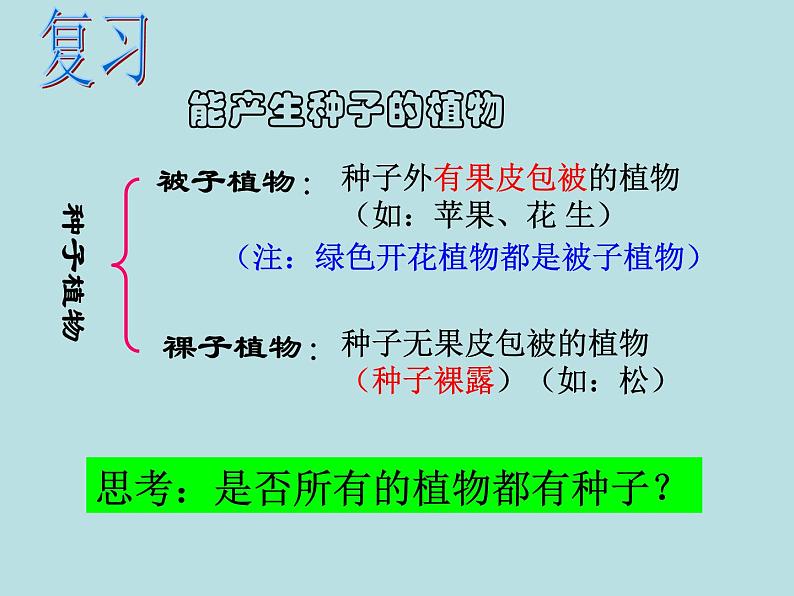 2.5 常见的植物（第2课时）—浙教版七年级科学上册课件(共22张PPT)02