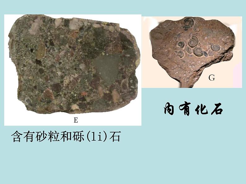 3.3  组成地壳的岩石—浙教版七年级科学上册课件(共27张PPT)06