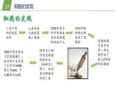 4.2 细胞1—华东师大版七年级科学上册课件