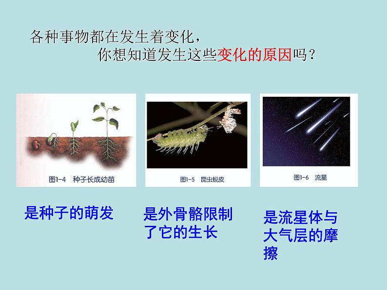 1.1  科学并不神秘—浙教版七年级科学上册课件(共20张PPT)03