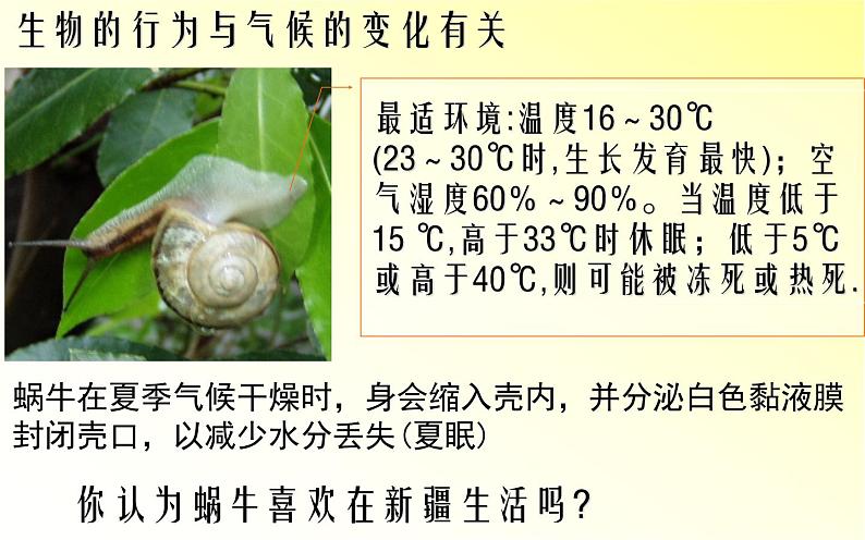 2.7 我国的气候特征与主要气象灾害—浙教版八年级科学上册课件第7页