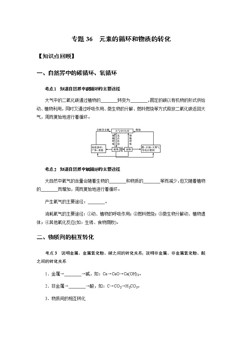 备战2022 中考科学  精讲精练 专题36 元素的循环和物质的转化（学生版） 第1页