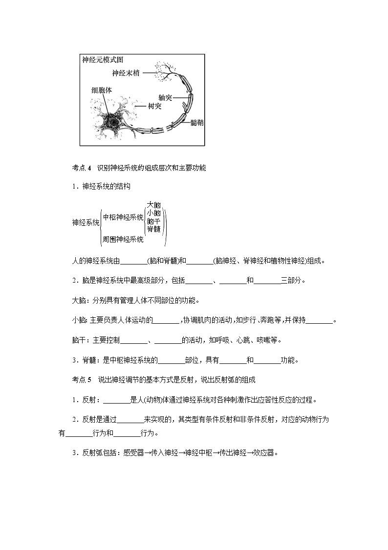 备战2022 中考科学  精讲精练 专题08 生命活动的调节（学案）02