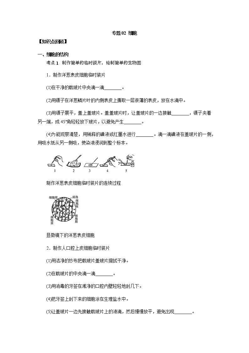 备战2022 中考科学  精讲精练 专题02 细胞（学案）01