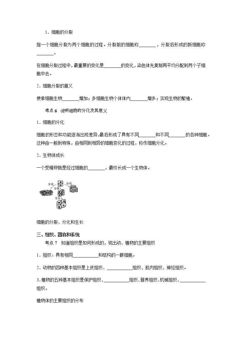 备战2022 中考科学  精讲精练 专题02 细胞（学案）03