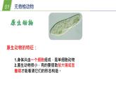 动物的主要类群PPT课件免费下载