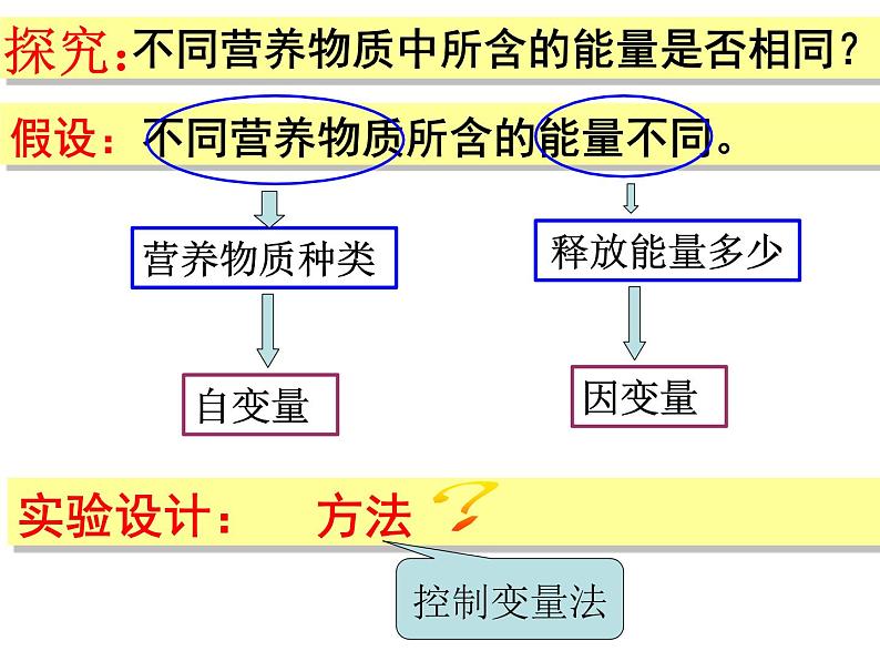 4.1食物与营养（第1课时）—浙教版九年级科学上册课件第5页