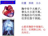 4.3体内物质的运输(第4课时）—浙教版九年级科学上册课件