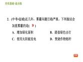 华师版九年级下册科学 第4章 习题课件