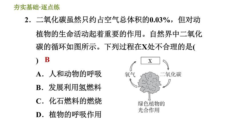 华师版九年级下册科学 第3章 习题课件04