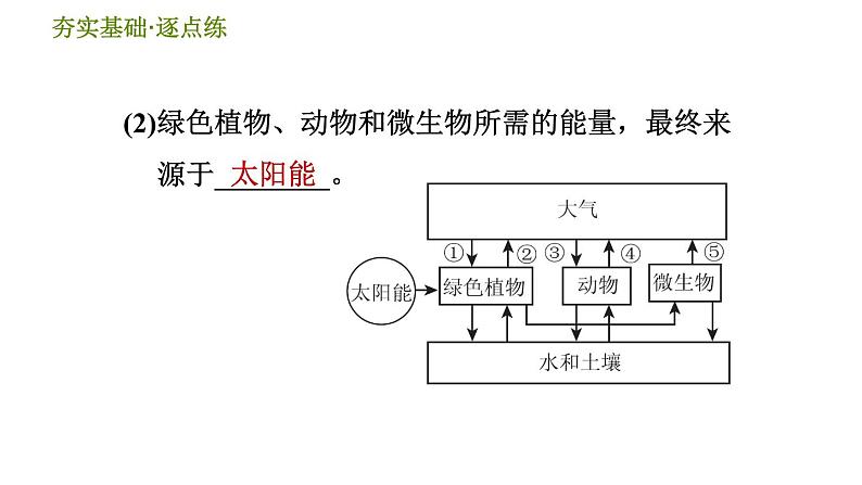 华师版九年级下册科学 第3章 习题课件07