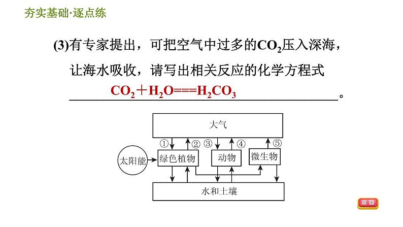 华师版九年级下册科学 第3章 习题课件08