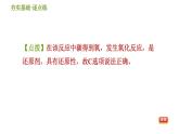华师版九年级下册科学 第3章 习题课件