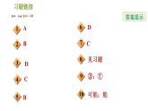 华师版八年级下册科学 第3章 习题课件