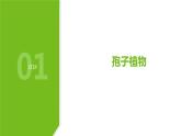 植物的主要類群PPT課件免費(fèi)下載