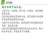 植物的主要類群PPT課件免費(fèi)下載