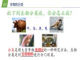 2.4生物的分类—华东师大版七年级科学上册课件