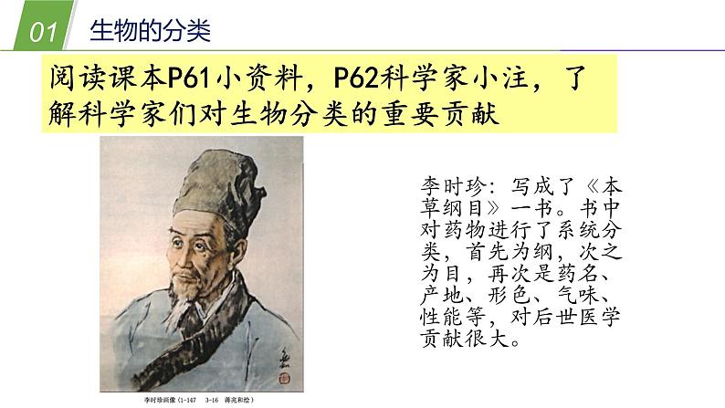 2.4生物的分类—华东师大版七年级科学上册课件08