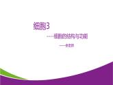 4.2 细胞3—华东师大版七年级科学上册课件