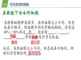 4.2 细胞3—华东师大版七年级科学上册课件