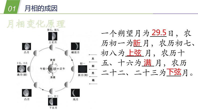 3月球与月相PPT课件免费下载06