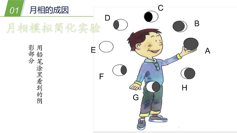 3月球与月相PPT课件免费下载08