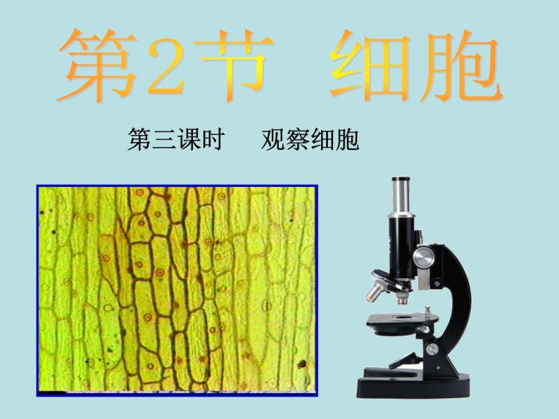 2.2  细胞（第3课时）—浙教版七年级科学上册课件+素材01