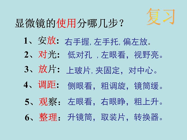 第2章第2节 细胞（第3课时）第2页