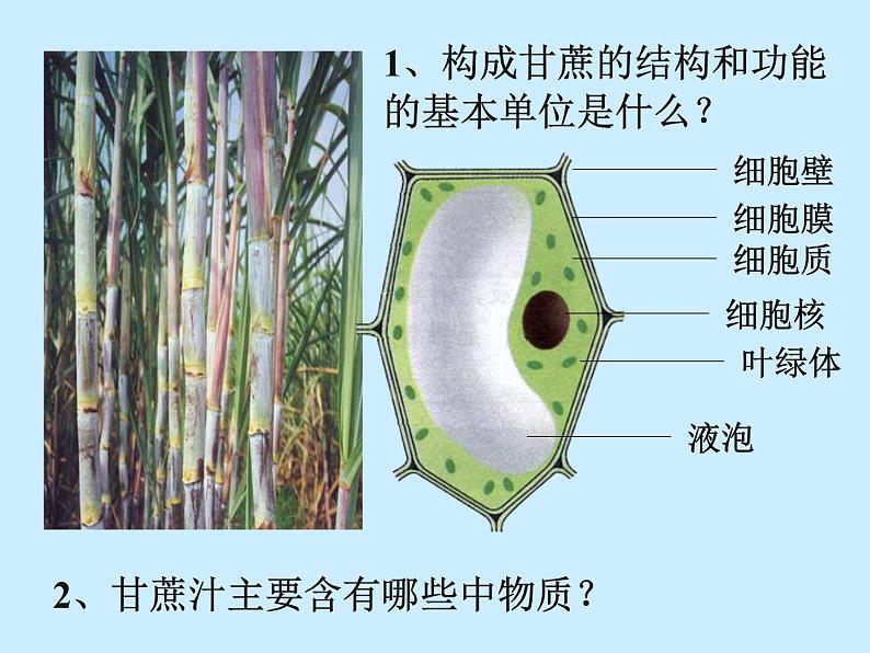 第4章第1节  物质的构成第3页