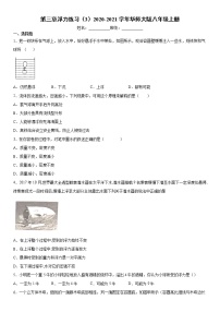 初中科学华师大版八年级上册第3章  浮力综合与测试当堂达标检测题