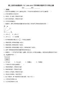 初中科学华师大版八年级上册第3章  浮力综合与测试同步测试题