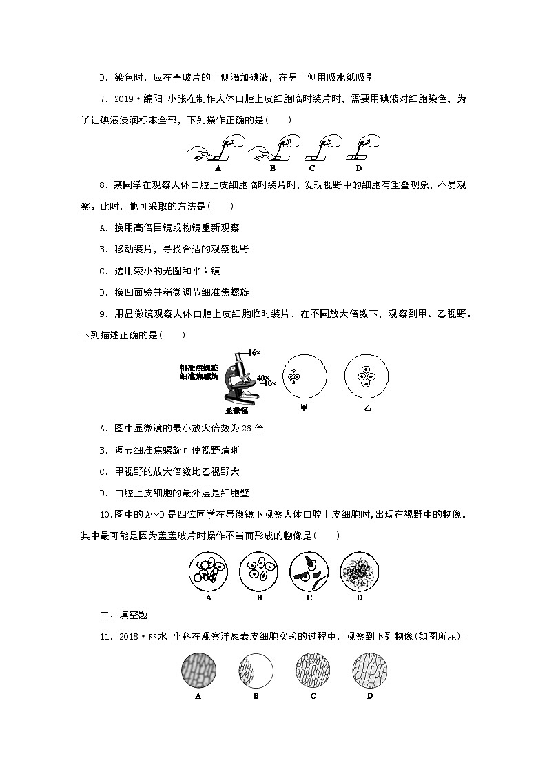 浙教版  七年级上册 2.2   第3课时　观察动物细胞和植物细胞练习题第2页
