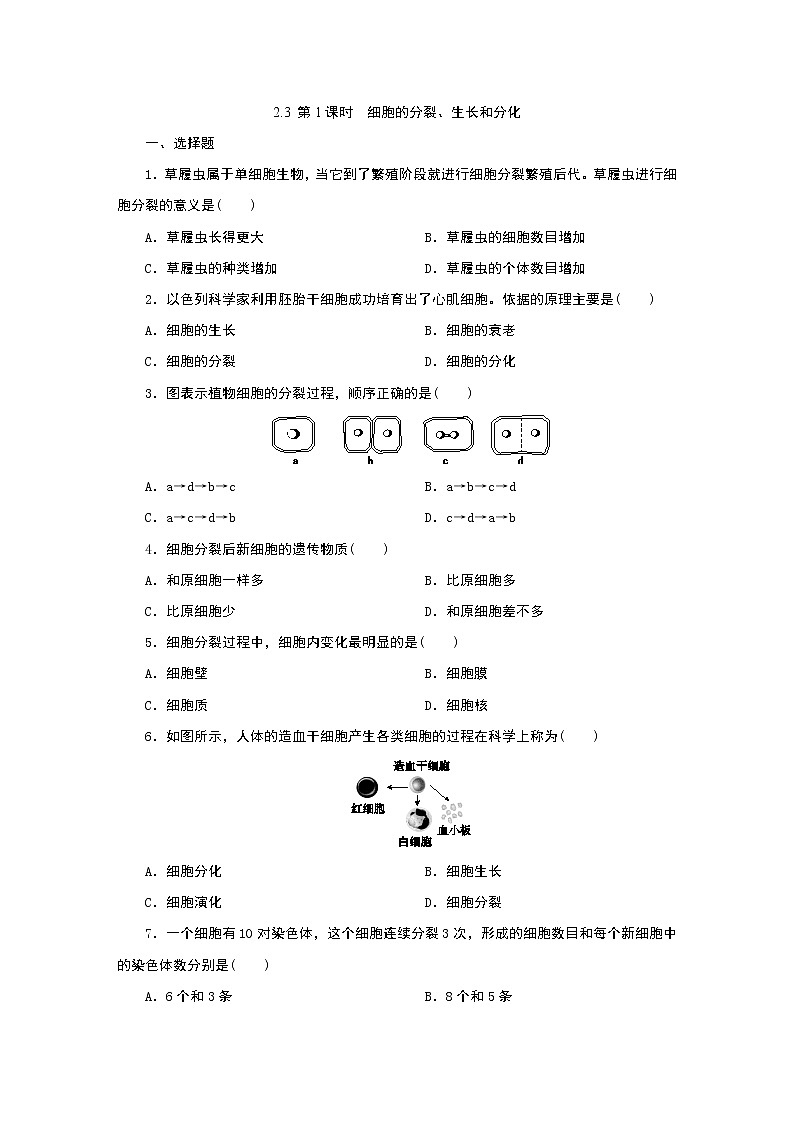 浙教版  七年级上册 2.3   第1课时　细胞的分裂、生长和分化练习题第1页