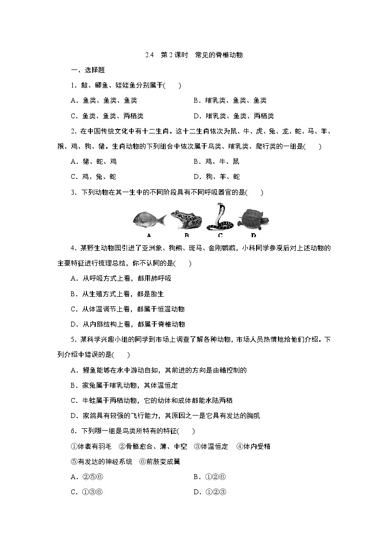 浙教版  七年级上册 2.4　第2课时　常见的脊椎动物练习题第1页