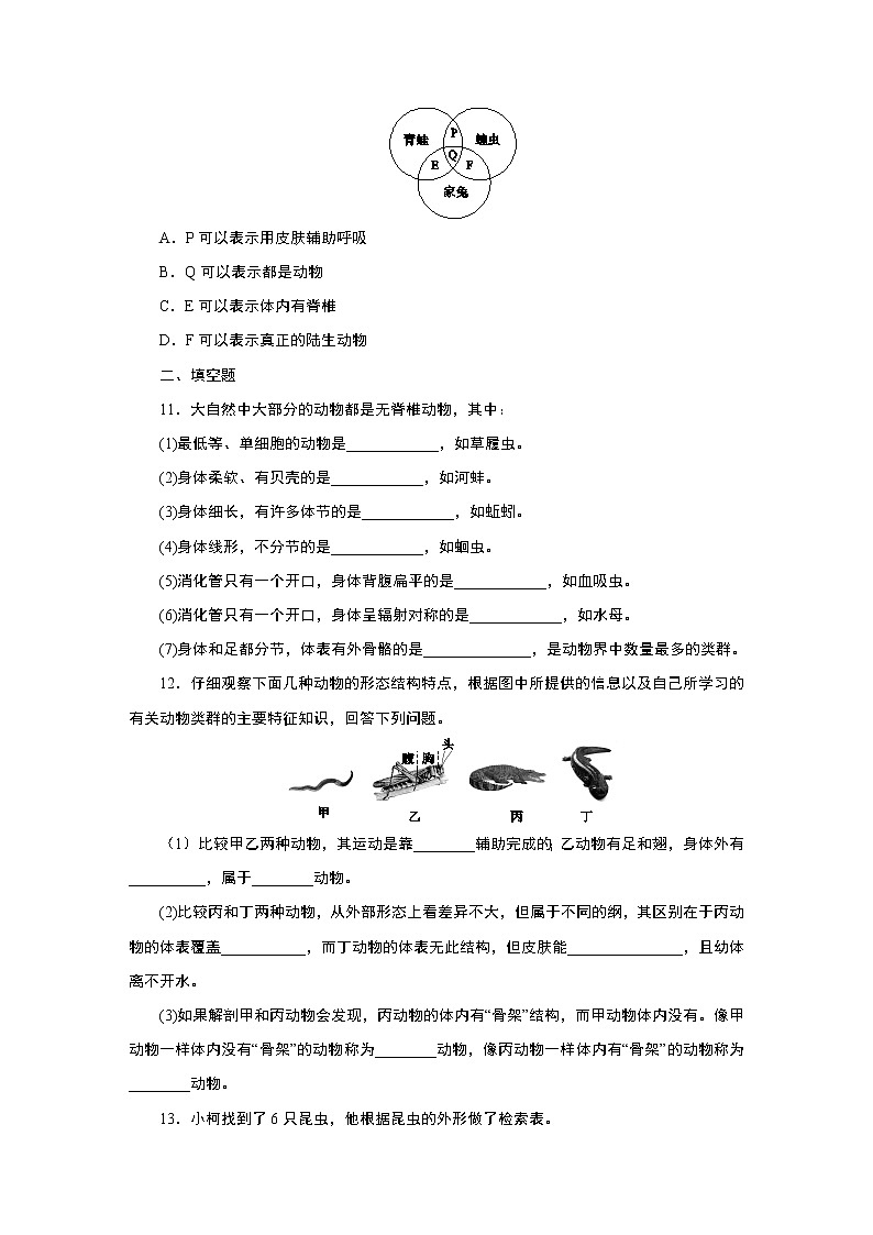 浙教版  七年级上册 2.4   第4课时　常见的无脊椎动物练习题第3页