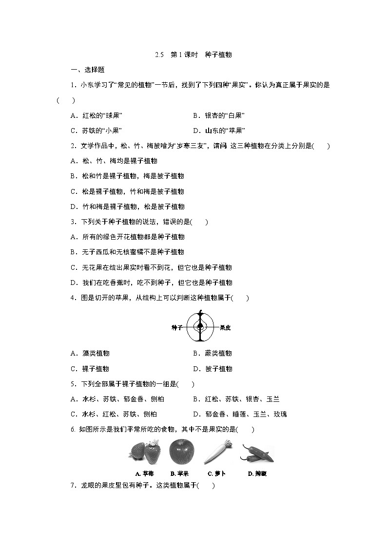 浙教版  七年级上册 2.5　第1课时　种子植物练习题第1页