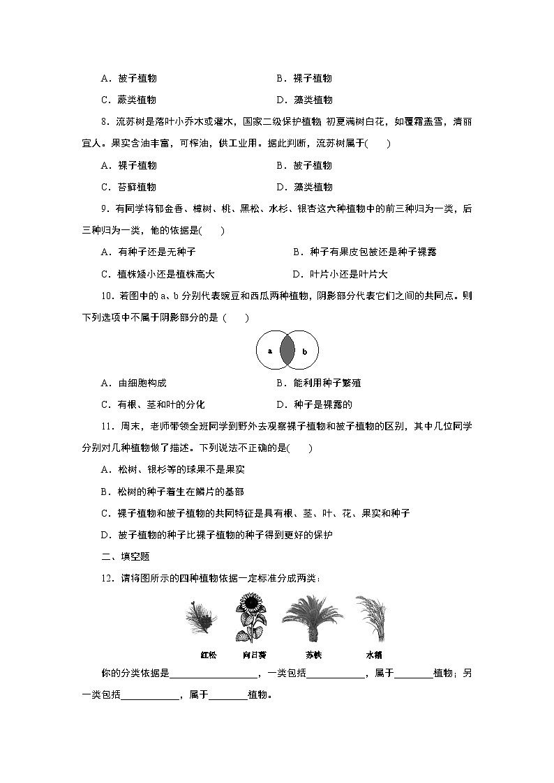 浙教版  七年级上册 2.5　第1课时　种子植物练习题第2页