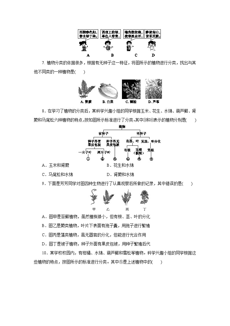 浙教版  七年级上册 2.5 第2课时　孢子植物和植物的分类练习题第2页