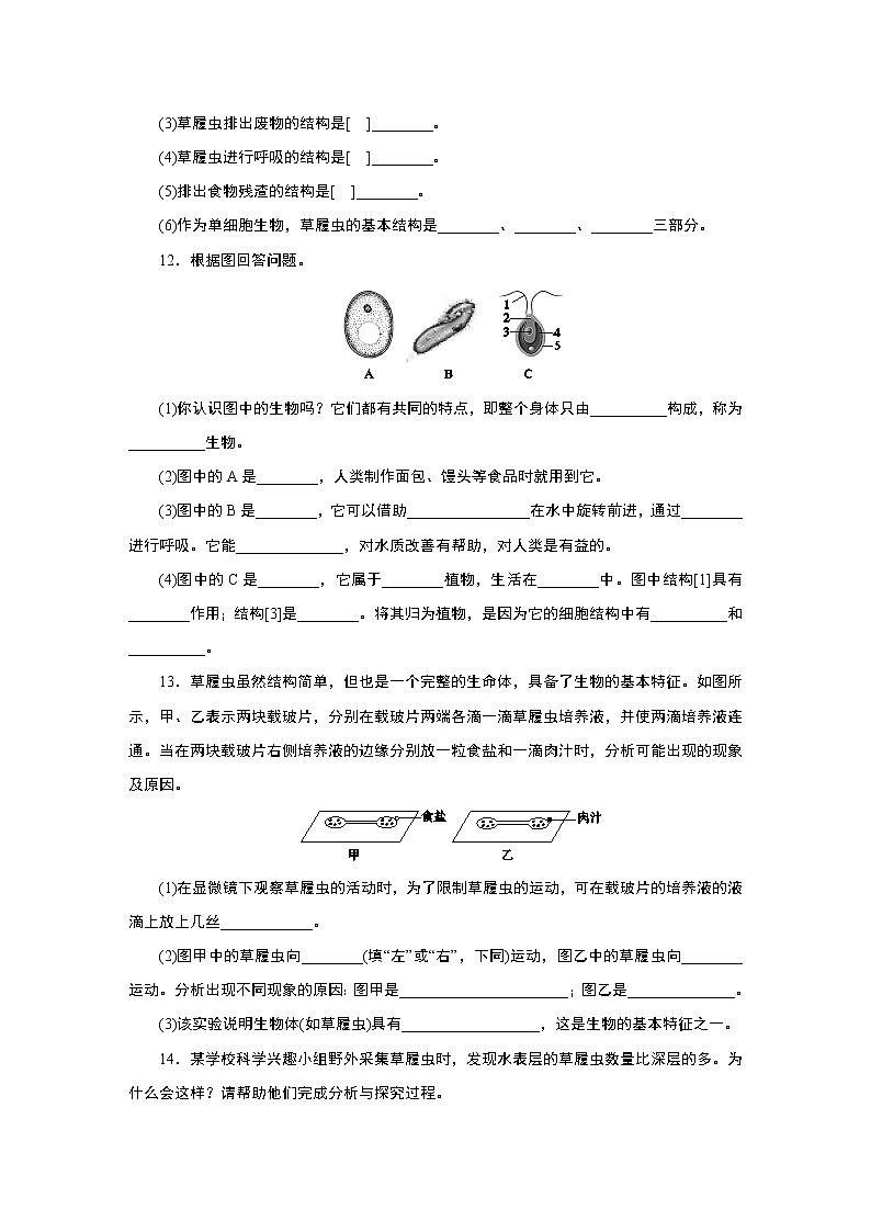 浙教版  七年级上册 2.6 第1课时　单细胞生物　多细胞生物练习题第3页